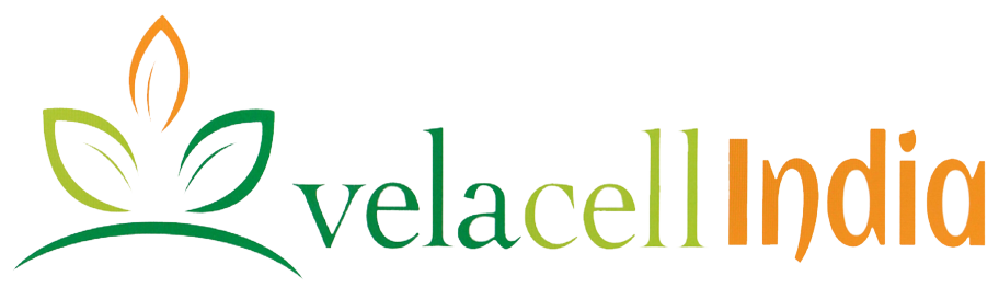 vela_cell_low-removebg-preview